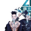 개, 이쁘다 이미지