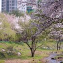 컴포즈커피아산탕정점
