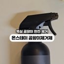 스테이99.9 이미지
