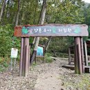 양촌 유아숲체험원 이미지