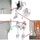다리가 휘는 이유 이미지