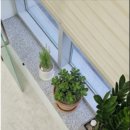 위너스컨설팅