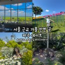 6.25전쟁 참전기 | [파주] '서울 근교 가볼 만한 곳 정리' 파주 데이트, 파주 가볼 만한 곳, 서울 근교 샤스타 데이지...