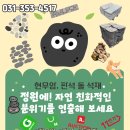 킹콩PC | 화성 팔탄 맛집] 햄이 쏟아진다! 킹콩부대찌개 '리얼햄가득' 솔직 후기 (라면사리 무한리필 🍜)