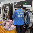 빨래방 충청타임즈