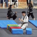 대한격투합기도 이미지