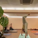 밸런스요가(야) 이미지