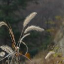 신안동주민센터-3 이미지