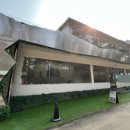 펫 유토피아 이미지