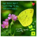 경인로9번나길 이미지