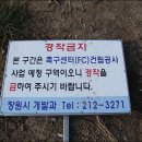 사파동305 이미지