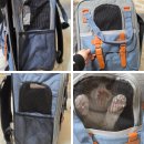 알리와 윌리 | 가벼운 외출용 고양이 백팩 실사용 후기 냥댕냥댕