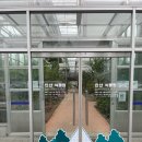 동백원 | 비 오는 날 실내 데이트, 안산 가볼만한 곳 ‘안산식물원’ 후기