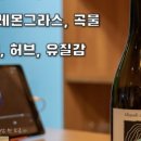 지오-디 이미지
