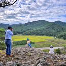 선운산 꽃무릇 학원농장 해바라기 백년초 병바위 이미지