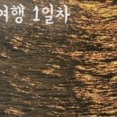 와사비 호테루 네이버블로그