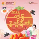 영동체육관 이미지