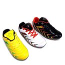 마리모리 이미지