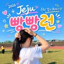 다음에또봐 - 용산구 한강대로10길 13 | [러닝] 다음에 또 가고싶은 '2026 제주 빵빵런' 참가 후기