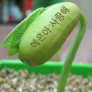 (주)아이디어콩 이미지