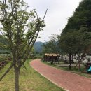 증산수도계곡 오토캠핑장 네이버블로그