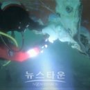 해양경찰서 앞 이미지