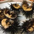 피엔위커머스 이미지