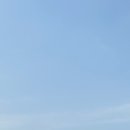 일상컴퍼니