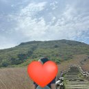 명산사슴농장 이미지