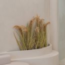 삼성외과의원 이미지