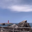 정동진제이 이미지