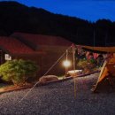 홍천해당화 이미지