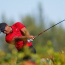 럭키 골프 클럽 이미지