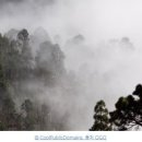 박현목장 | 대학가요제 4회노래양치기소년단최여원돈크라이상현이동현김민규안개황건우스무공일윤경빈올가을엔사랑...