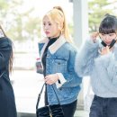 르세라핌 카카오 검색결과