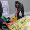 정량동사무소 이미지