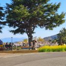 왕지로타리 이미지