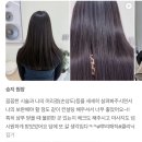 목련헤어매직