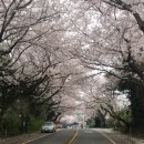 고성종합운동장 가는길 이미지