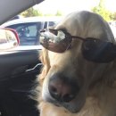 집안살림 이미지