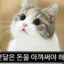 참;별