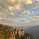 블루마운틴 이미지