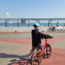 남천동 공영자전거 무료대여소 이미지