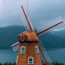 학동 애견 이미지