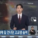 양카(양아치+카)의 최후 이미지