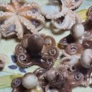 시락 소포마을 이미지