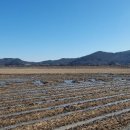 시도리운동장 이미지