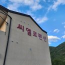 씨엘로 펜션 | 괴산 풀빌라 후기 | 씨엘로 펜션에서 보낸 완벽한 가족 여행
