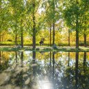 원효로1동주민센터 이미지