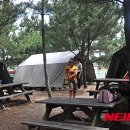 수련원야영장 이미지